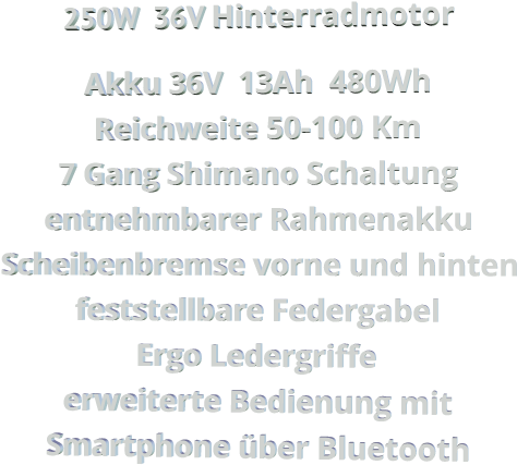 250W  36V Hinterradmotor Akku 36V  13Ah  480Wh Reichweite 50-100 Km 7 Gang Shimano Schaltung entnehmbarer Rahmenakku Scheibenbremse vorne und hinten feststellbare Federgabel Ergo Ledergriffe erweiterte Bedienung mit Smartphone über Bluetooth